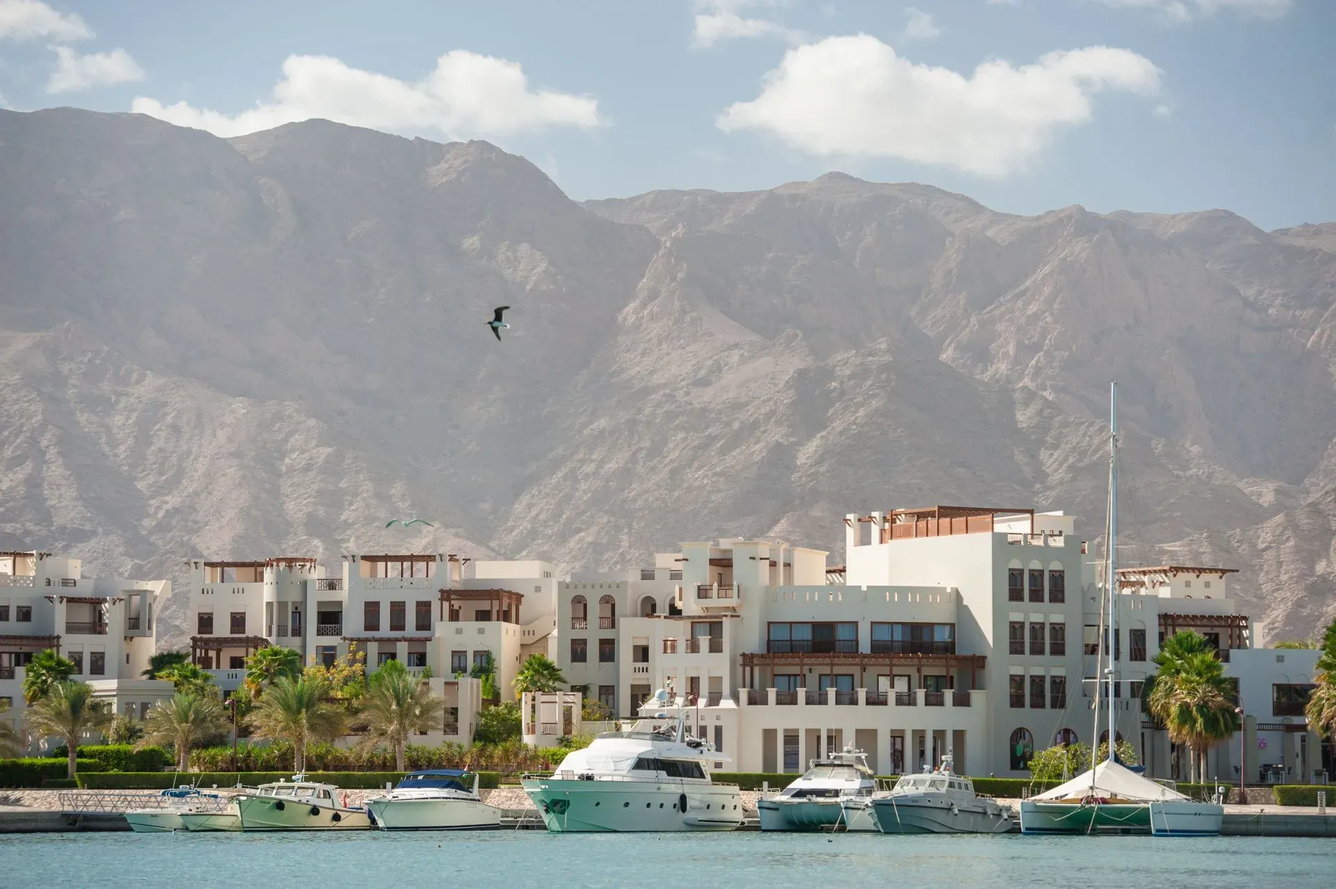 image of jebel sifah
