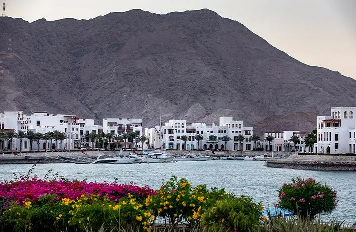 a view of rentals with jebel sifah in the background