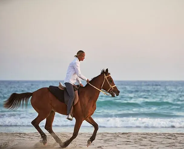jebel-sifah-horse-riding 