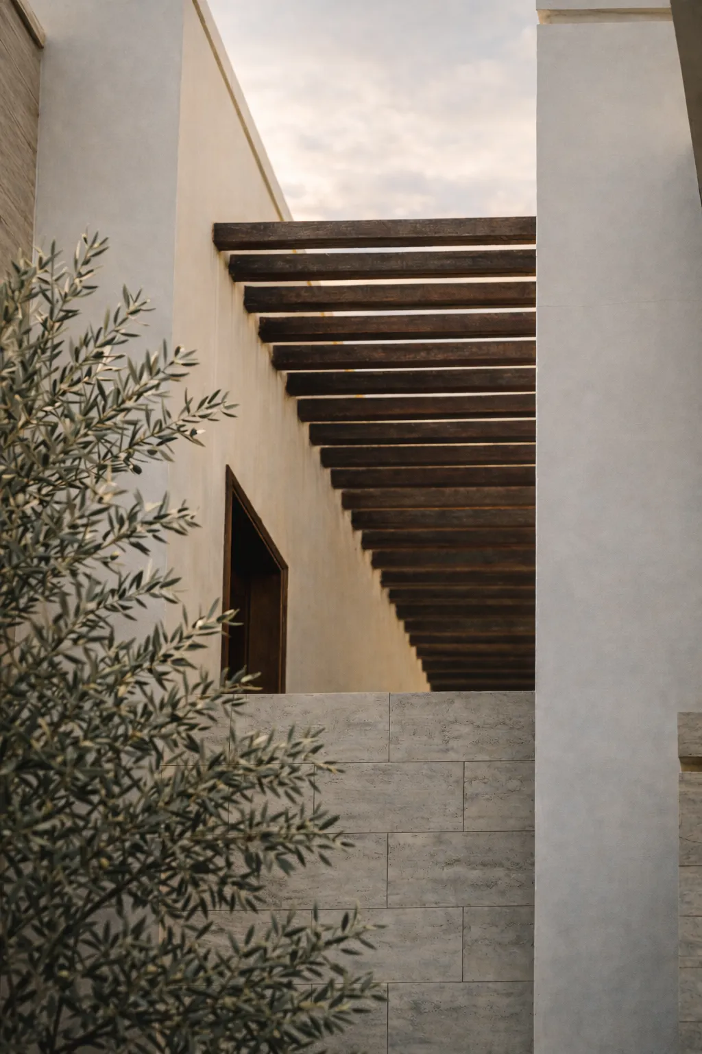 Olive-farms