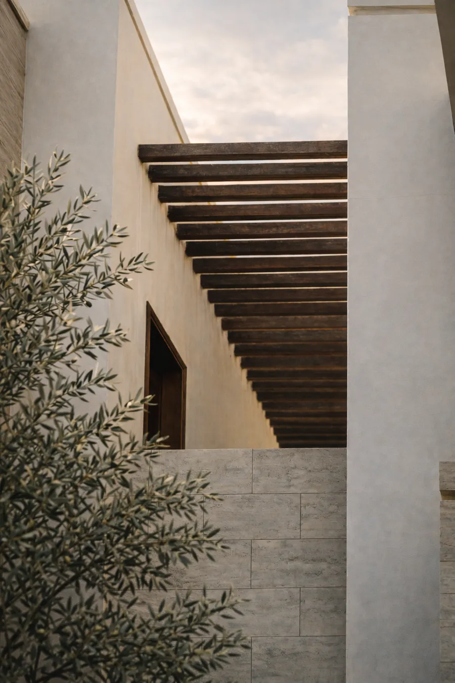 Olive-farms
